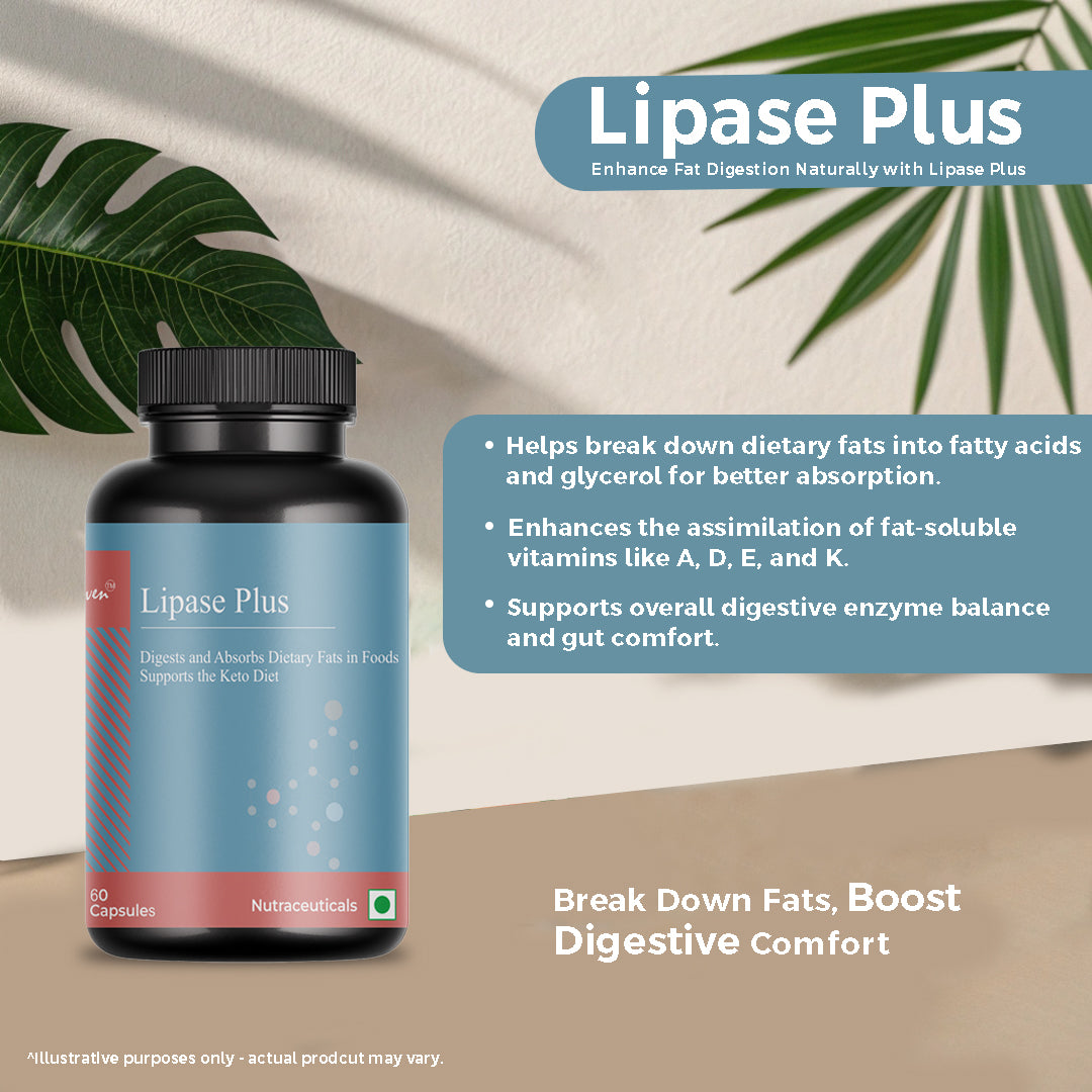 Biovencer Lipase Plus 60 Veg Capsules – Digestive Enzyme Supplement for Fat Metabolism & Gut Health