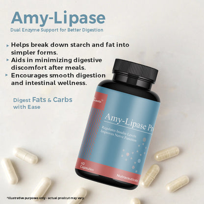 Biovencer Amy-Lipase Pro Capsules – Digestive Enzyme Supplement for Carbohydrate & Fat Digestion, Gut Health & Metabolism Support – 60 Veg Capsules