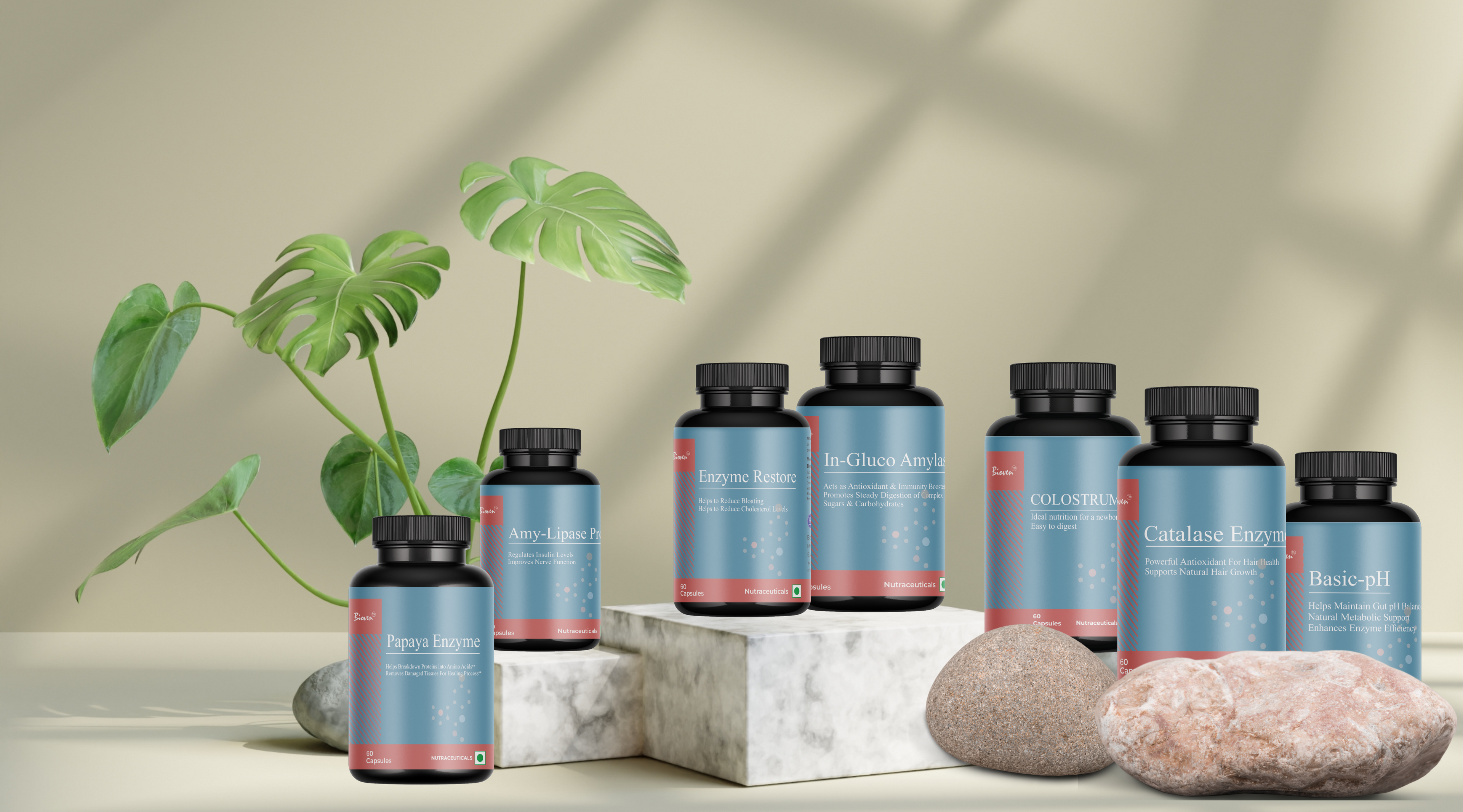 Bioven enzyme supplement range for digestion, immunity, and gut health on a natural stone background