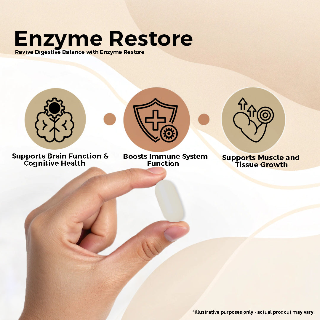 Biovencer Enzyme Restore Capsules – Comprehensive Digestive Enzyme Supplement for Gut Health, Digestion, and Nutrient Absorption – 60 Veg Capsules