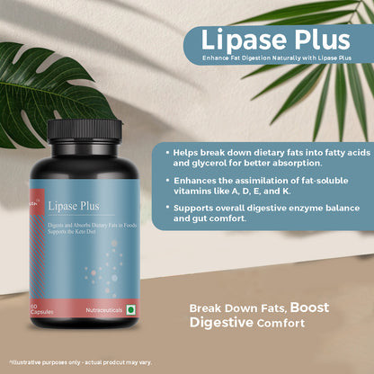 Biovencer Lipase Plus 60 Veg Capsules – Digestive Enzyme Supplement for Fat Metabolism & Gut Health