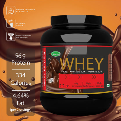 Best Whey Protein Powder